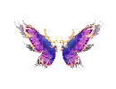 wing-rw-lvl4